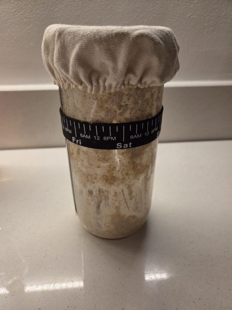 Sourdough Starter